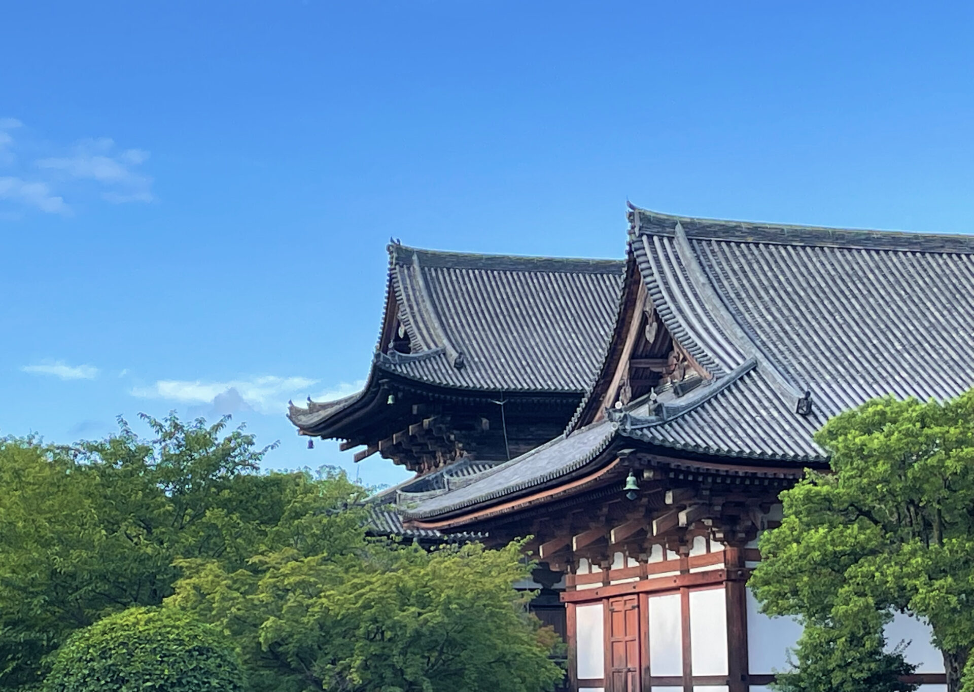 東寺|教王護国の官寺と真言密教の思想 日本・史跡ナビ
