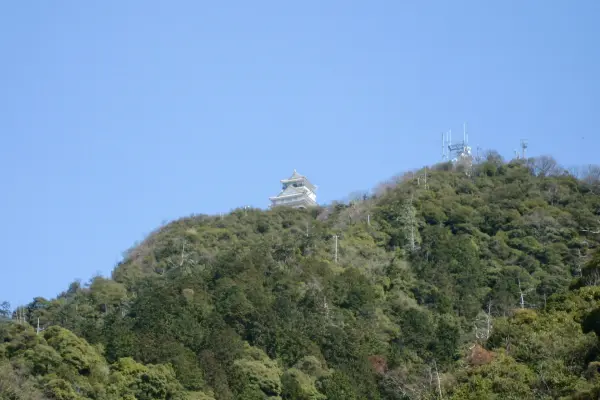 桃山時代　古信楽徳利　高さ10.5㎝ 東Y7-0522① 信楽壺26